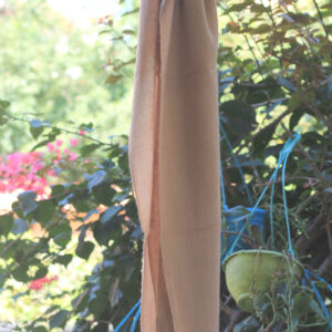 Small Scarf in Beige Colour